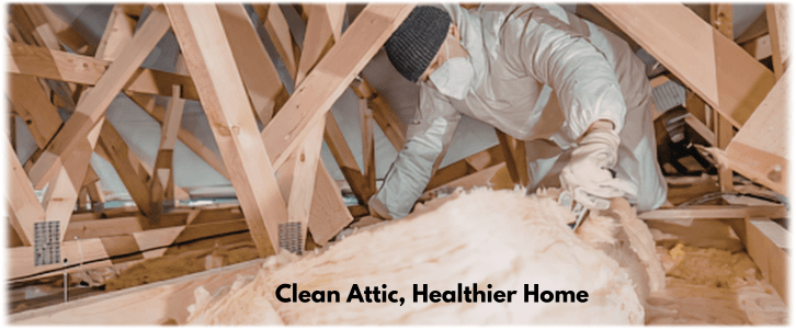Attic Cleaning Johns Creek