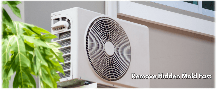 HVAC Mold Removal Johns Creek